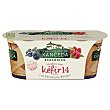 Casa grande DE xanceda 14 Kéfir ecológico con 14 cultivos vivos y frutas del bosque 2 x 125 g. 14 k Casa Grande de Xanceda